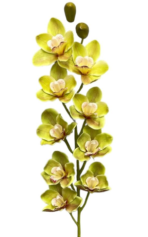 36'' Natural Touch Cymbidiu Orchid ( INT054-#5 Green )