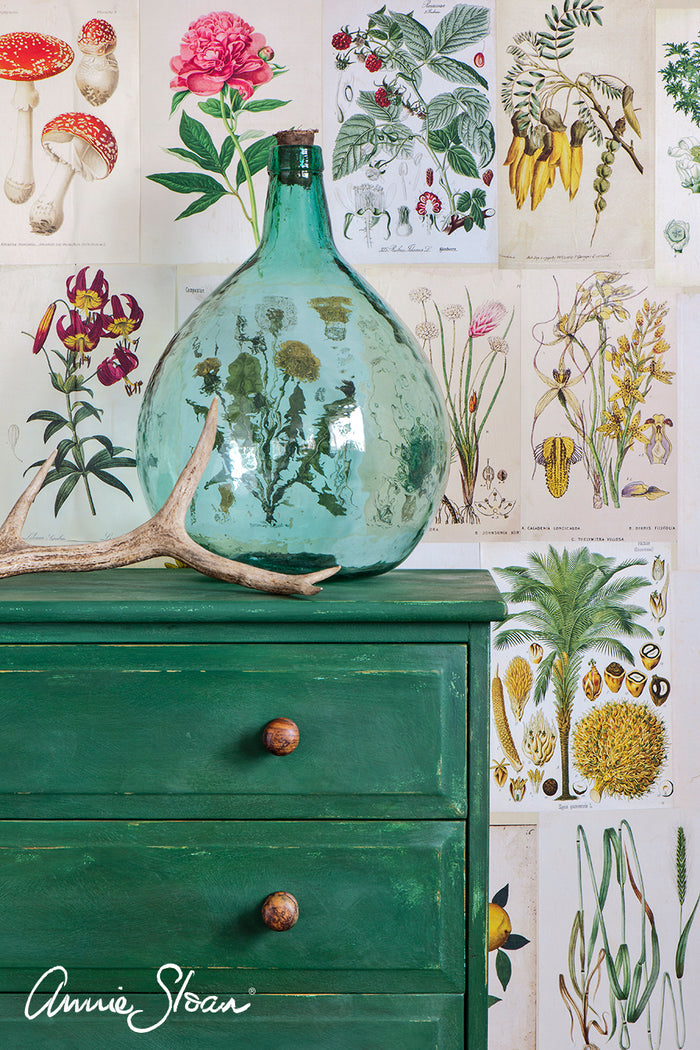 Amsterdam Green - Chalk Paint® by Annie Sloan