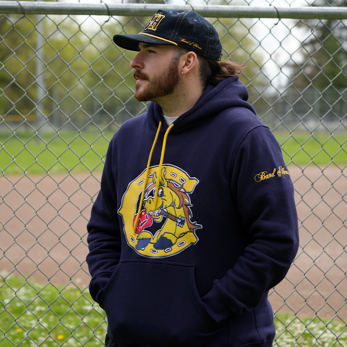 [ band of horses x charleston riverdogs ] hood - Official League