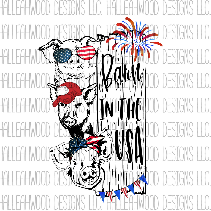 Barn in the USA- pigs