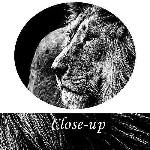 Black and White Lion Head Portrait Wall Art Painting Print On Canvas - EK CHIC HOME