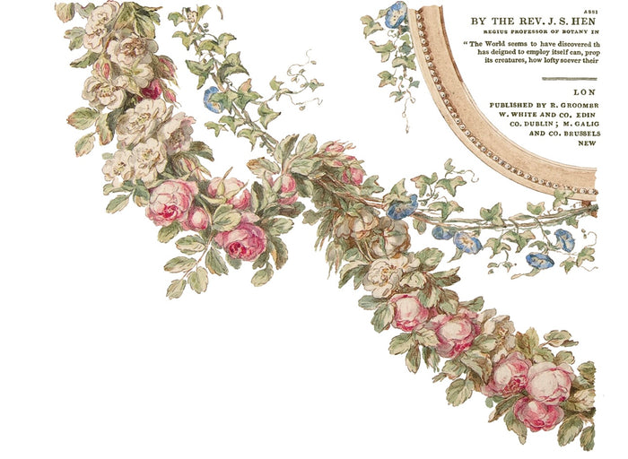 IOD The Botanist Transfer Set