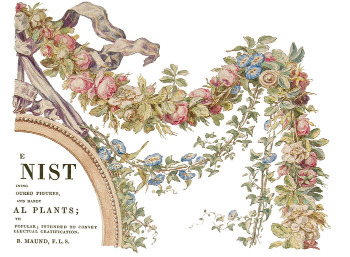 IOD The Botanist Transfer Set