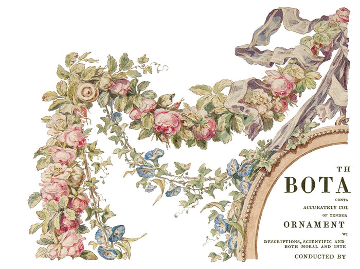 IOD The Botanist Transfer Set