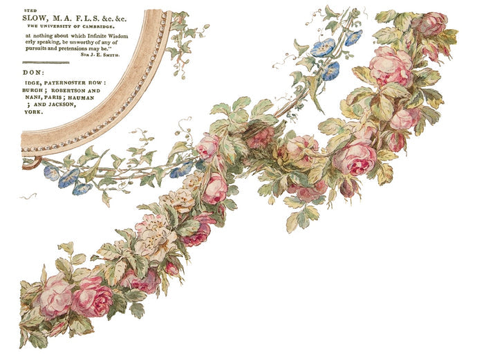 IOD The Botanist Transfer Set