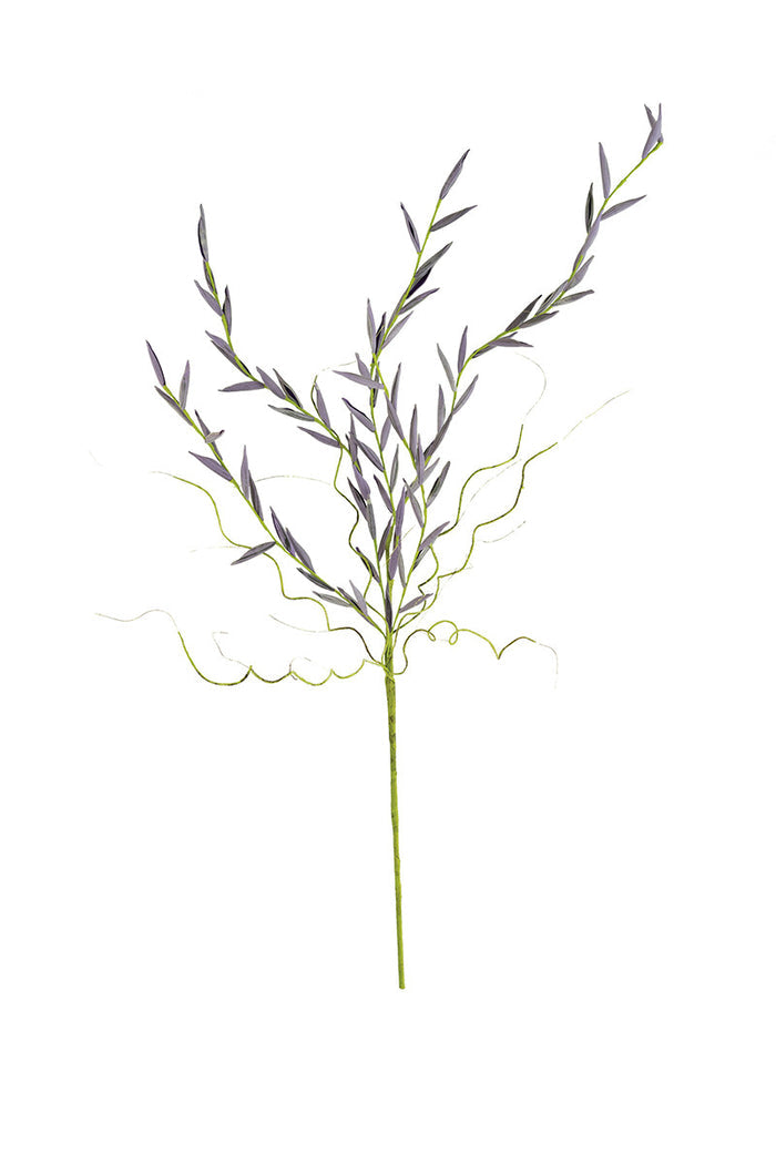 Lavender Bud Stem