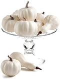 Martha Stewart Collection La Dolce Vita White Artificial Gourds, 9-Pc. Set