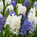 Mix The Blues