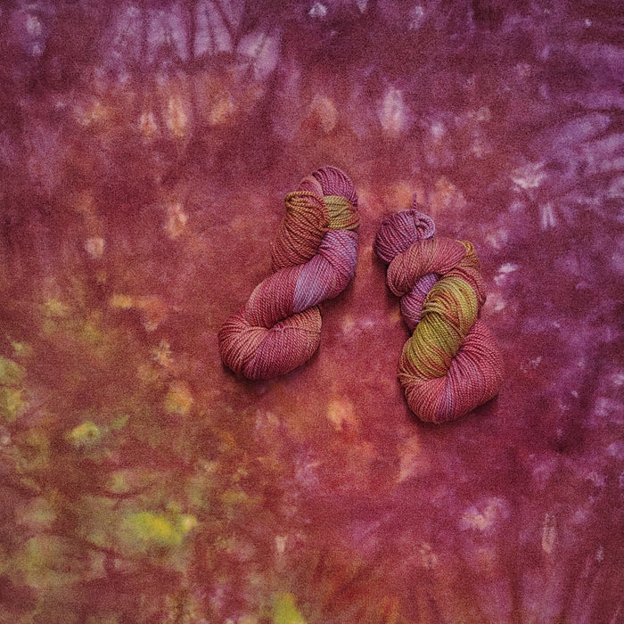 Nefarious Nepenthes Hand Dyed Wool Yarn