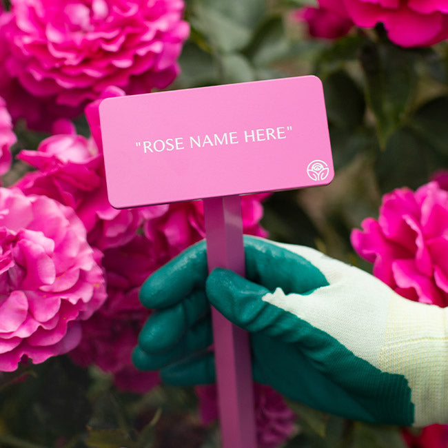 Poseidon™ Garden Marker