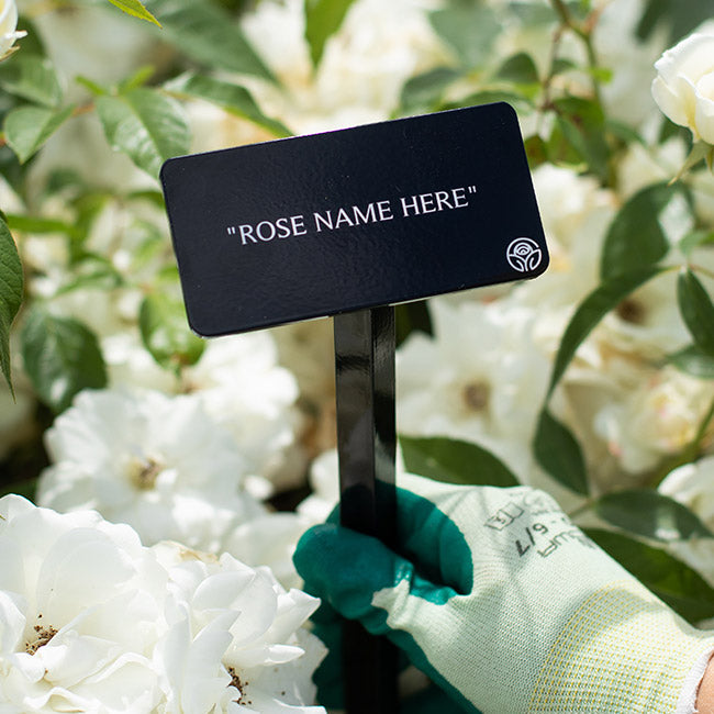 Quietness Garden Marker