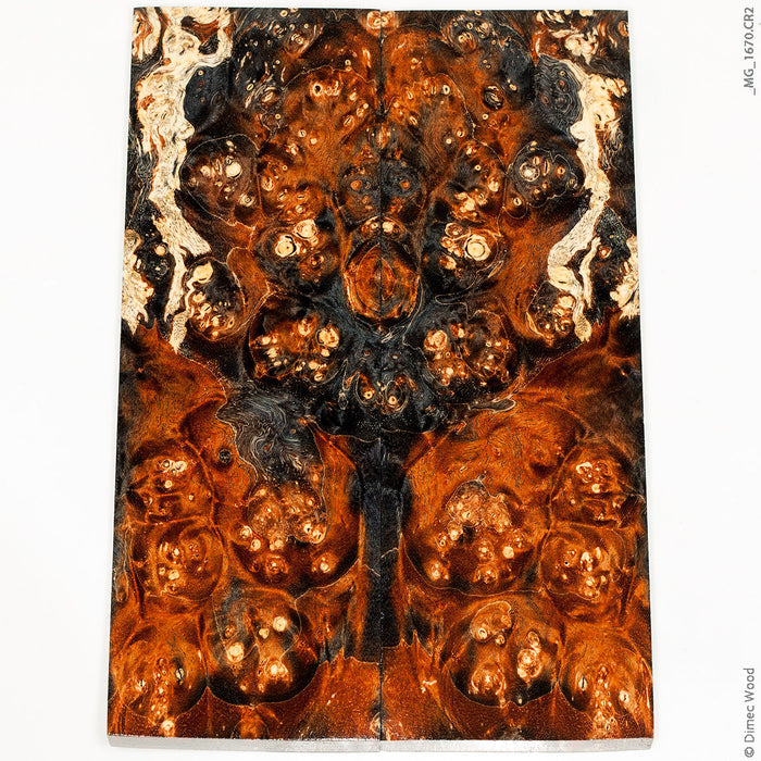 Stabilized wood box elder burl panels
