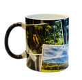 Thermal Changing Mug - Lifeboost Coffee