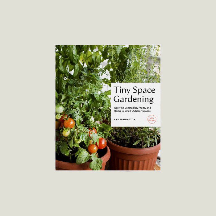Tiny Space Gardening: A Guide to Urban Farming