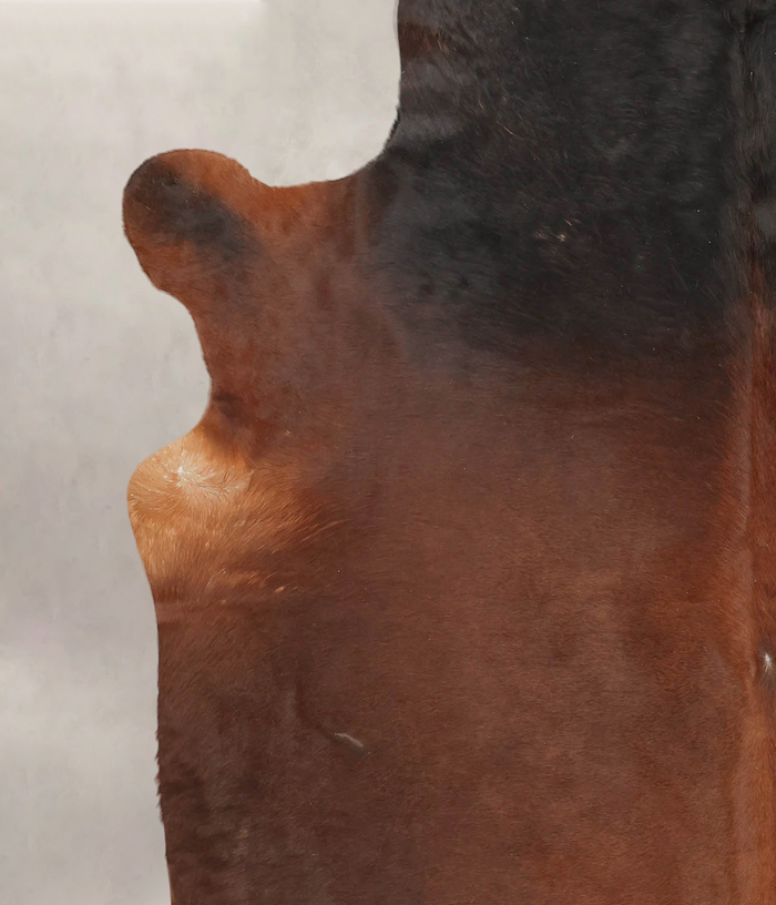 Brown with Red Cowhide Rug #B4107