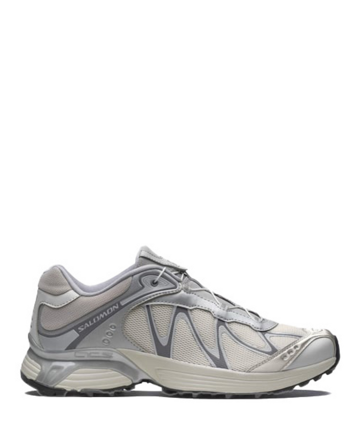 XT-Whisper Ftw Silver/Lunar Rock/Silver Cloud L47801400